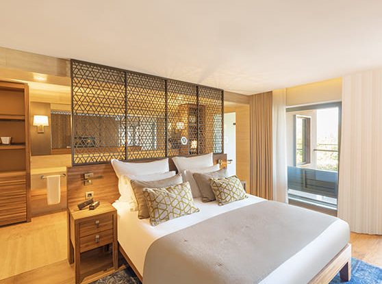 Deluxe Dağ Manzaralı Oda galeri görseli 11